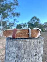 Load image into Gallery viewer, Collar - Medium -  M09
