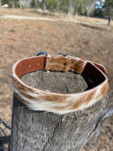 Load image into Gallery viewer, Collar - Medium - M012