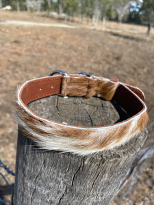 Collar - Medium - M012