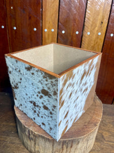 Plant Pot