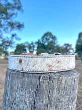 Load image into Gallery viewer, Collar - Medium -  M09