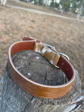 Load image into Gallery viewer, Collar - Medium - M04