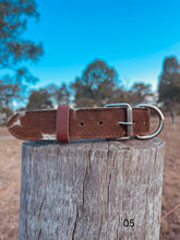 Load image into Gallery viewer, Collar - Medium - M05