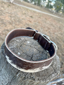 Collar - Medium - M08