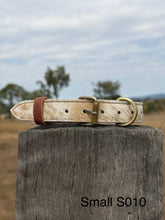 Load image into Gallery viewer, Collar - Small - S010