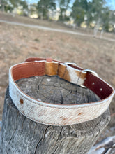 Load image into Gallery viewer, Collar - Medium -  M09