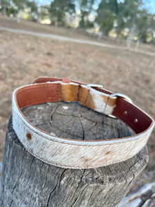 Collar - Medium -  M09