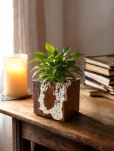 Load image into Gallery viewer, Plant Pot