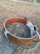 Load image into Gallery viewer, Collar - Medium - M05