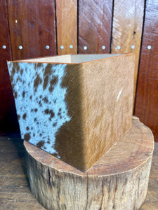 Plant Pot