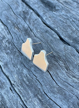 Load image into Gallery viewer, Earrings - Cattle Ear Tag