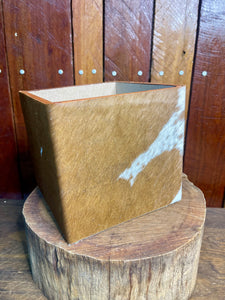 Plant Pot