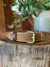 Load image into Gallery viewer, Collar - Extra Small - XS010