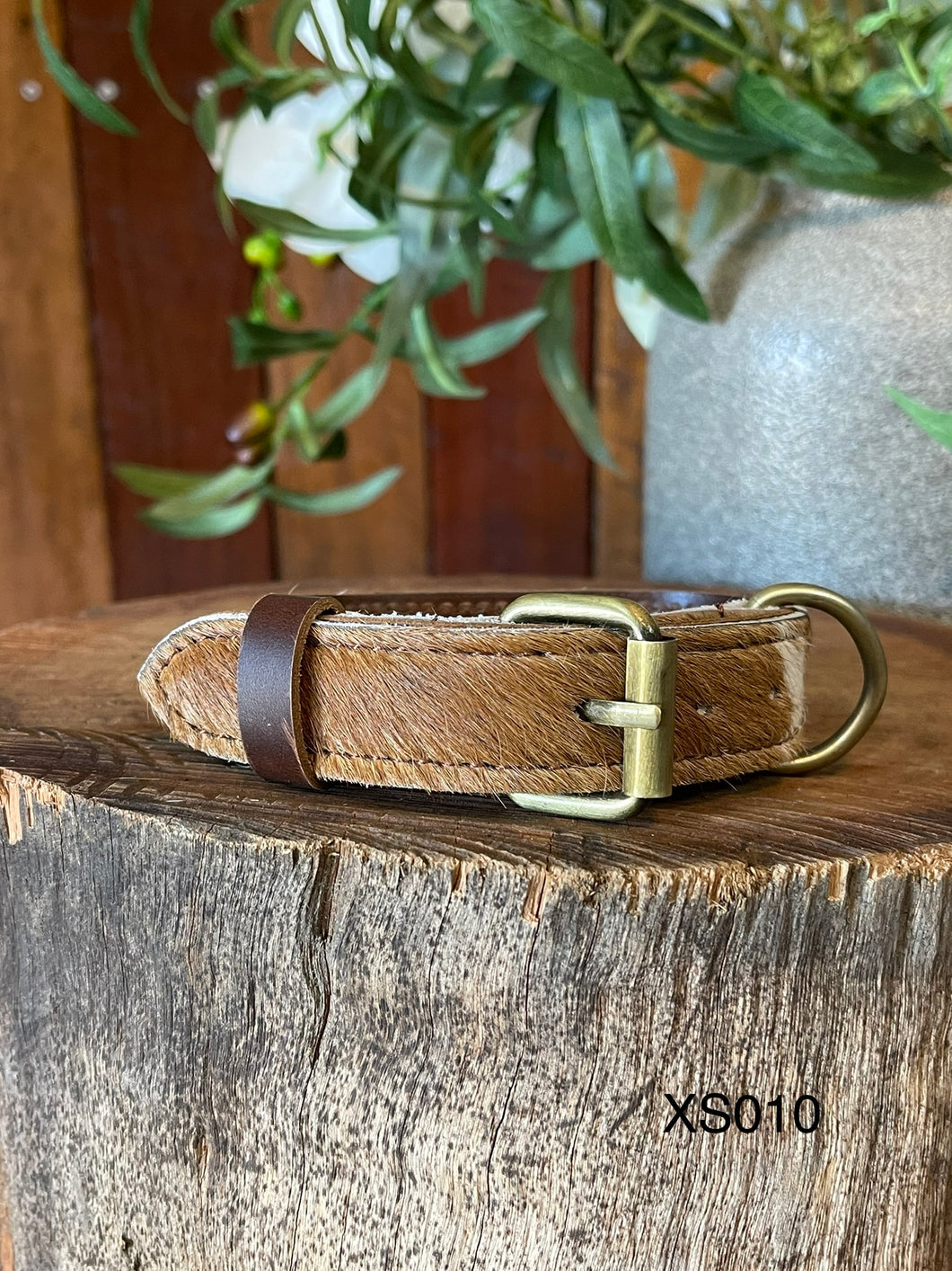 Collar - Extra Small - XS010