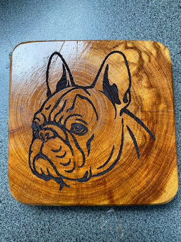 Coaster - French Bulldog