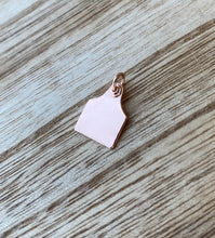 Load image into Gallery viewer, AAA - Necklace - Cattle Ear Tag - Pendant &amp; Chain - Sterling Silver, Rose Gold, Yellow Gold