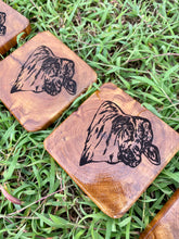 Load image into Gallery viewer, Coasters - Brangus  - Preorder