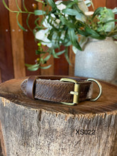 Load image into Gallery viewer, Collar - Extra Small - XS022