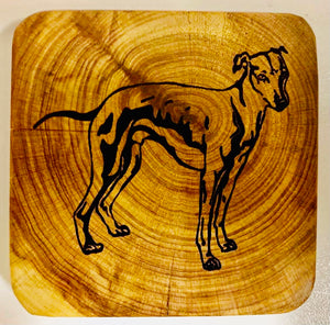 Coaster - Whippet