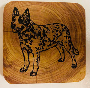 Coaster - Australian Cattle Dog - Preorder