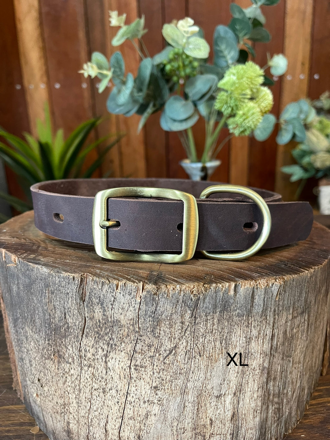 Collar - Leather - Extra Large