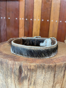 Collar - Small - S06