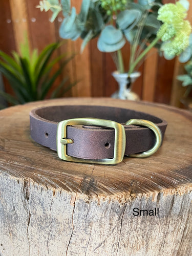 Collar - Leather - Small