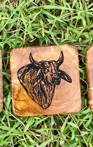 Coasters - Brahman Horned - Preorder