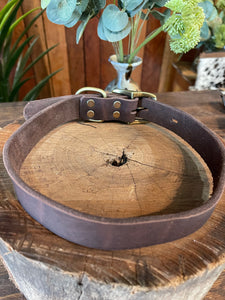 Collar - Leather - Extra Large