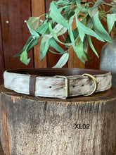 Load image into Gallery viewer, Collar - Extra Large - XL02