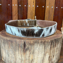 Load image into Gallery viewer, Collar - Extra Large - XL06