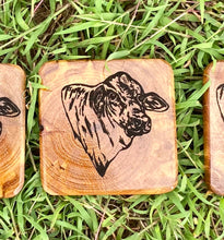 Load image into Gallery viewer, Coasters - Brangus  - Preorder