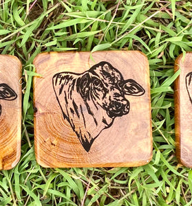 Coasters - Brangus  - Preorder