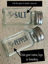 Load image into Gallery viewer, Salt N Pepper Shakers