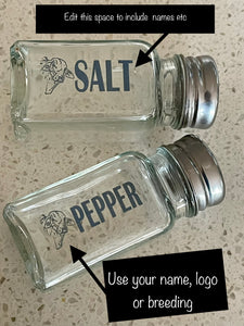 Salt N Pepper Shakers