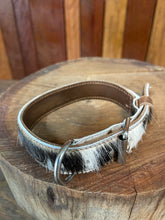 Load image into Gallery viewer, Collar - Small - S06