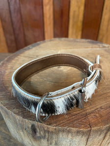 Collar - Small - S06